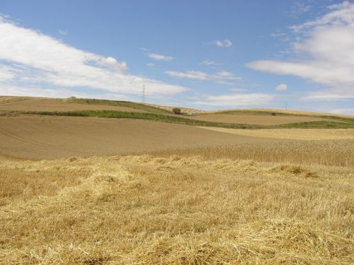 Camino Burgos a Hontanas