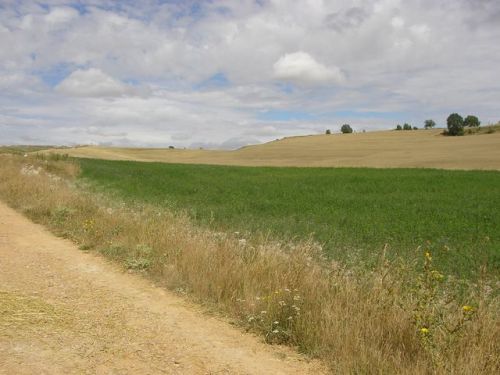 Camino Burgos a Hontanas