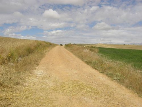 Camino Burgos a Hontanas
