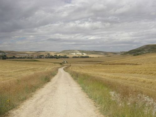 Camino Burgos a Hontanas