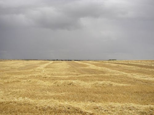 Camino Burgos a Hontanas