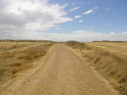 Camino Burgos a Hontanas