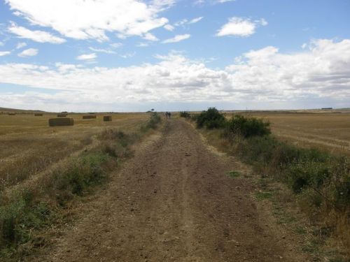 Camino Burgos a Hontanas