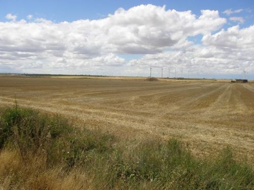 Camino Burgos a Hontanas