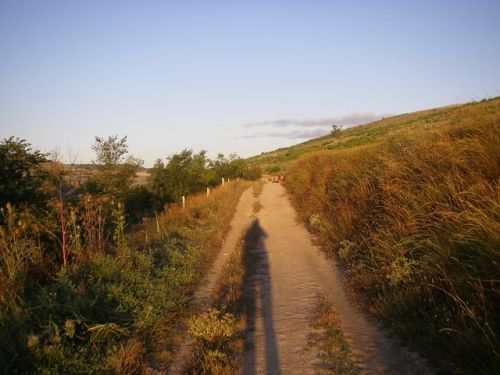 Caminando hacia Castrojeriz