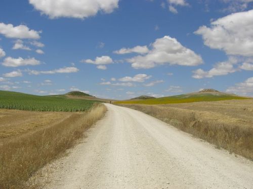 Camino de Hontanas a Fromista