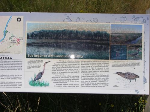 Camino de Hontanas a Fromista