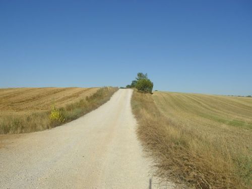 La Senda de los peregrinos. 12 km. en líniea recta (antigua vía romana)