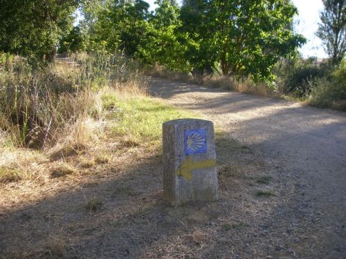 Camino de Terradillos de los Templarios a Burgo Ranero 