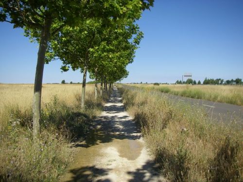 Camino de Terradillos de los Templarios a Burgo Ranero 