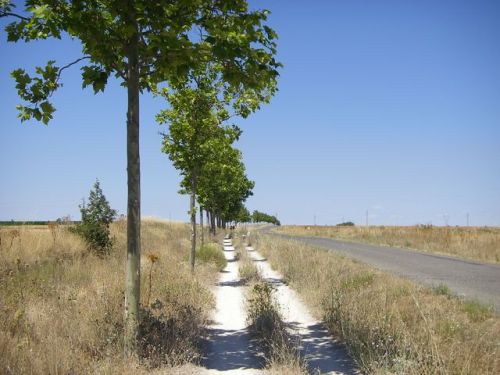 Camino de Terradillos de los Templarios a Burgo Ranero 