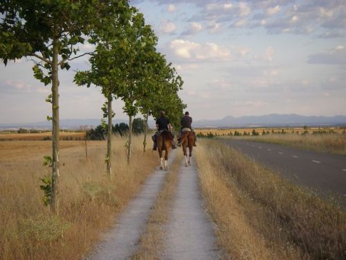 Camino de El Burgo Ranero a Mansilla de las Mulas