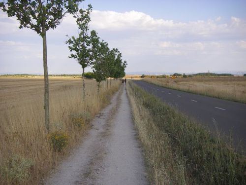 Camino de El Burgo Ranero a Mansilla de las Mulas