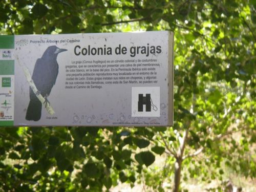 De León a Hospital de Örbigo