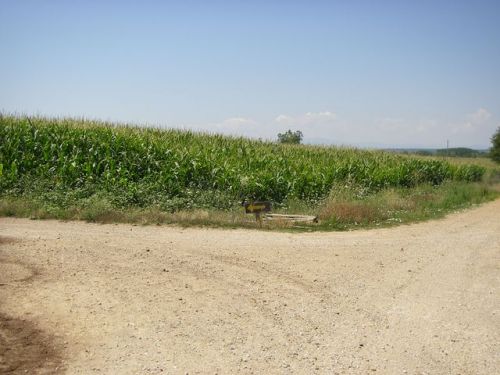 De León a Hospital de Örbigo