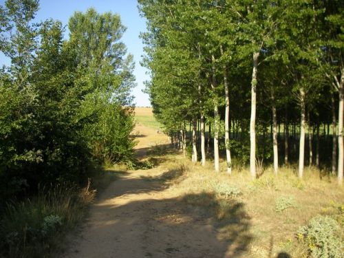 Camino a Astorga