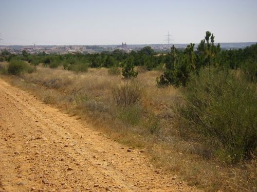 Ruta a Rabanal del Camin