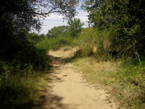 Rabanal del Camino - Molinaseca