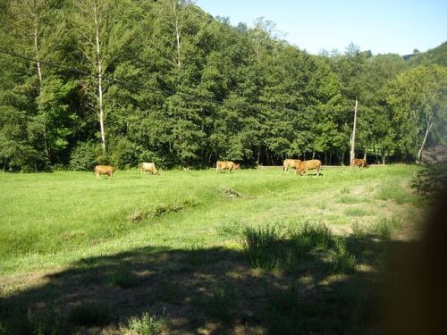 De Villafrancai del Bierzo a O Cebreiro.