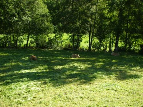 De Villafrancai del Bierzo a O Cebreiro.