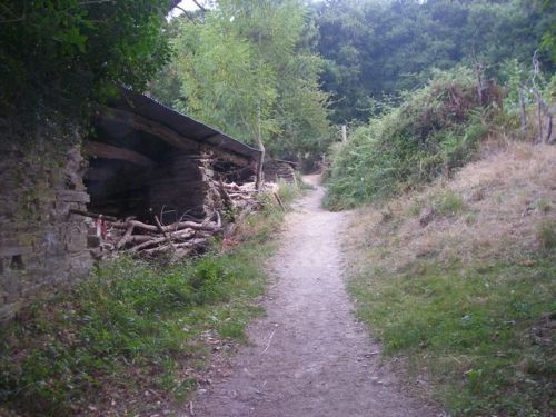 Ruta de Samos - Sarria - Ferreiros