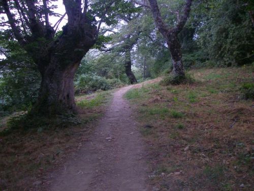 Ruta de Samos - Sarria - Ferreiros