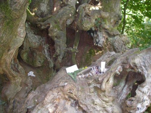 Ruta de Samos - Sarria - Ferreiros