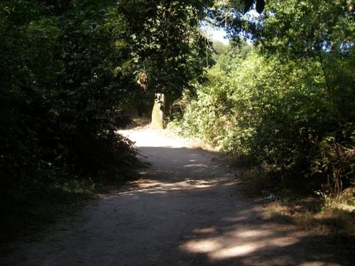 Ruta de Samos - Sarria - Ferreiros