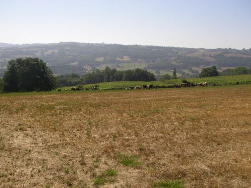 Ruta de Samos - Sarria - Ferreiros