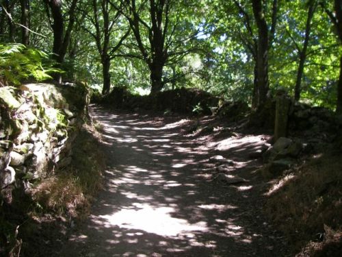 Ruta de Samos - Sarria - Ferreiros