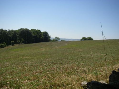 Ruta de Samos - Sarria - Ferreiros