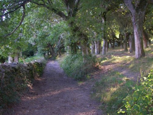 Ruta de Samos - Sarria - Ferreiros