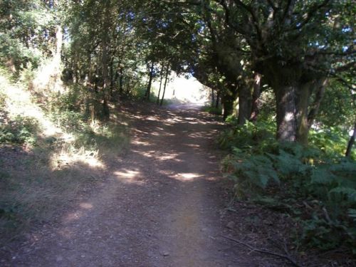 Ferreiros . Portomarín - Palas de Rei