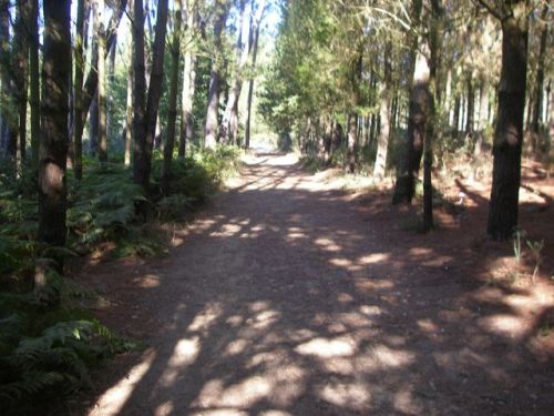 Ferreiros . Portomarín - Palas de Rei