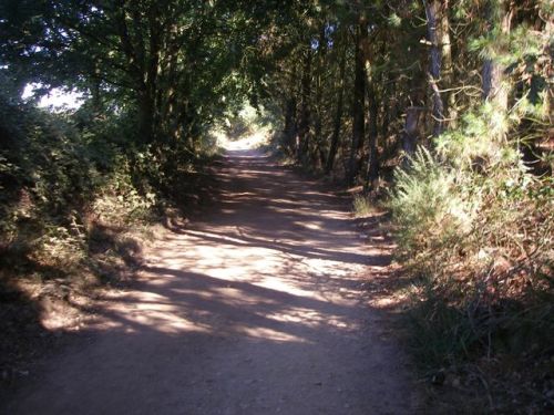 Ferreiros . Portomarín - Palas de Rei