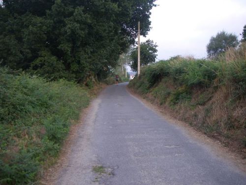 De Palas de Rey a Ribadiso