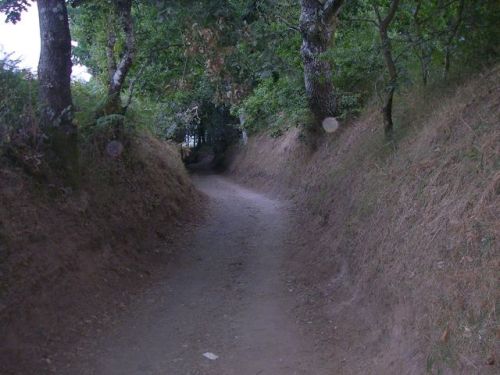 De Palas de Rey a Ribadiso