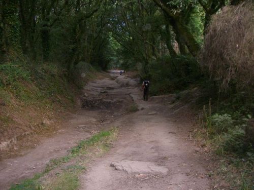 De Palas de Rey a Ribadiso