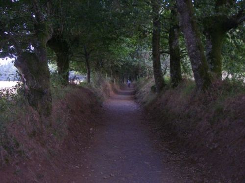 De Palas de Rey a Ribadiso