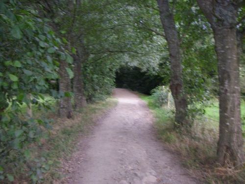 De Palas de Rey a Ribadiso