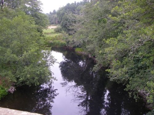 De Palas de Rey a Ribadiso