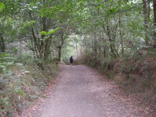 De Melide a Ribadiso