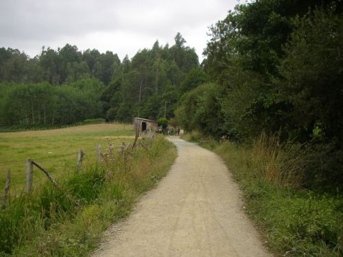 De Melide a Ribadiso