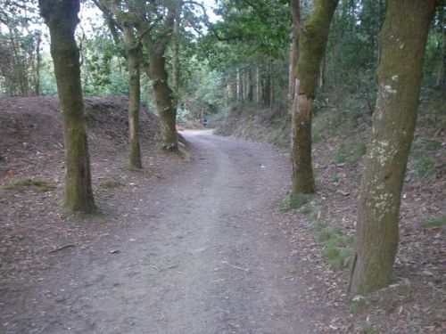 Etapa Ribadiso - Arca