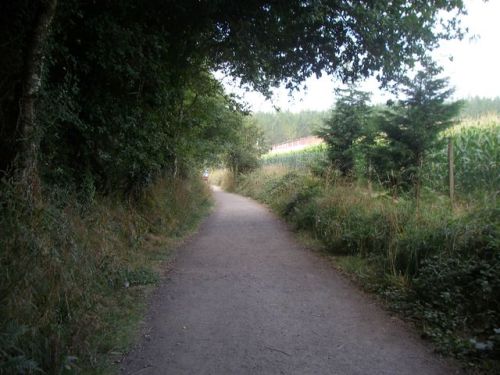 Etapa Ribadiso - Arca