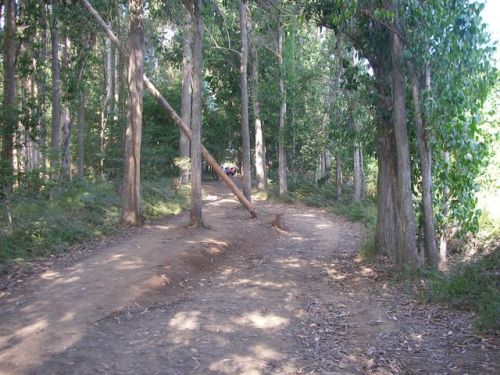 Etapa Ribadiso - Arca