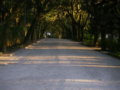 Santiago de Compostela. La Alameda