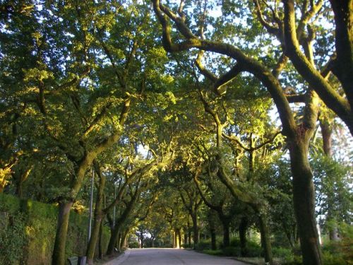 Santiago de Compostela