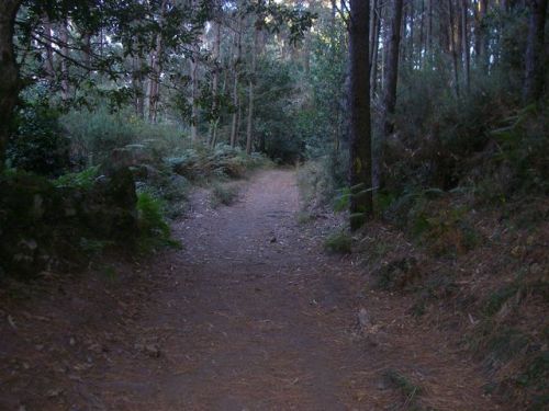 De Cee a Finisterre. 