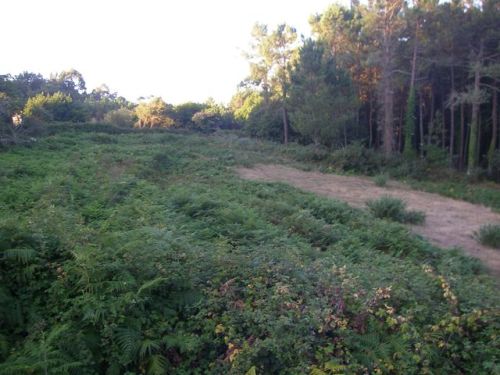 De Cee a Finisterre. 